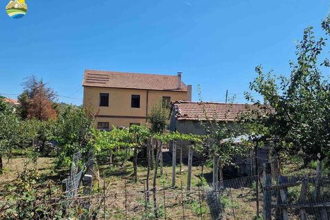 Villa a Bisenti, Teramo, Bisenti - € 135.000 | Ref: EL1121-729861 - foto 6