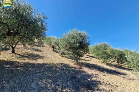 Villa a Bisenti, Teramo, Bisenti - € 135.000 | Ref: EL1121-729861 - foto 12