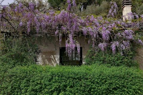 Landejendom i Villa, Perugia, Villa - € 1.300.000 | Ref: 11226RA50418-777375 - foto 31