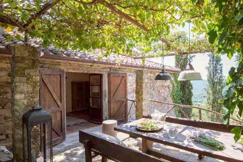Farm hus i Pierle, Arezzo, Pierle - € 1.690.000 | Ref: 11226RC37230-777408 - foto 8