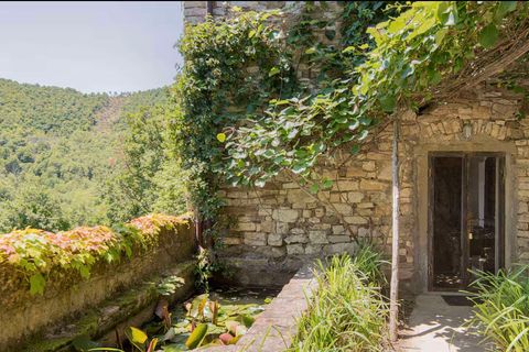 Farm hus i Pierle, Arezzo, Pierle - € 1.690.000 | Ref: 11226RC37230-777408 - foto 23
