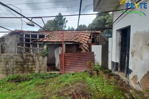 Villa i Serta, Castelo Branco, Serta - € 170.000 | Ref: SO15 - foto 24