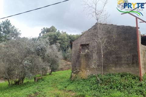Villa i Serta, Castelo Branco, Serta - € 170.000 | Ref: SO15 - foto 29