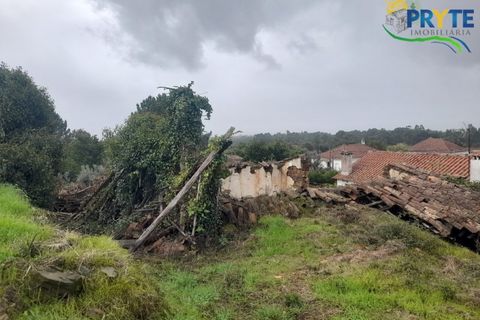Villa i Serta, Castelo Branco, Serta - € 170.000 | Ref: SO15 - foto 30