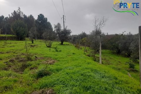 Villa i Serta, Castelo Branco, Serta - € 170.000 | Ref: SO15 - foto 32