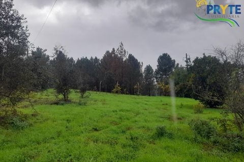 Villa i Serta, Castelo Branco, Serta - € 170.000 | Ref: SO15 - foto 33