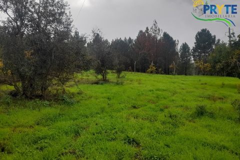 Villa i Serta, Castelo Branco, Serta - € 170.000 | Ref: SO15 - foto 34