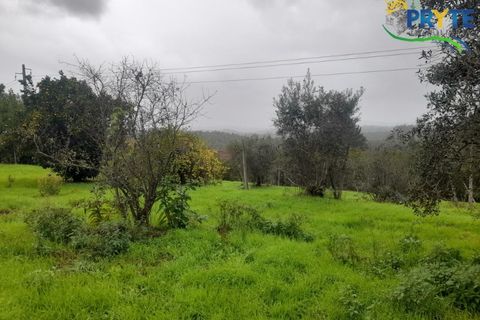 Villa i Serta, Castelo Branco, Serta - € 170.000 | Ref: SO15 - foto 35