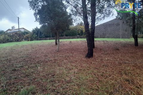 Villa i Serta, Castelo Branco, Serta - € 170.000 | Ref: SO15 - foto 36