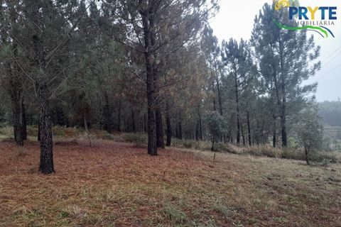 Villa i Serta, Castelo Branco, Serta - € 170.000 | Ref: SO15 - foto 37
