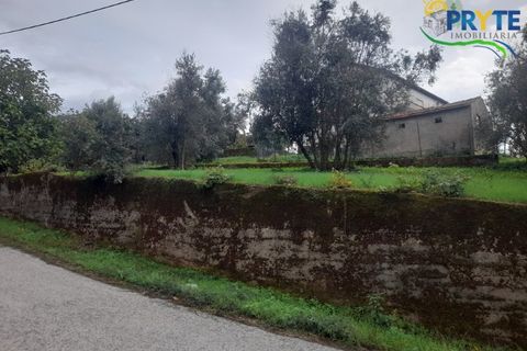 Villa i Serta, Castelo Branco, Serta - € 170.000 | Ref: SO15 - foto 43