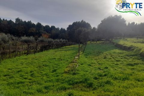 Helårsgrund i Serta, Castelo Branco, Serta - € 25.000 | Ref: SO14 - foto 2