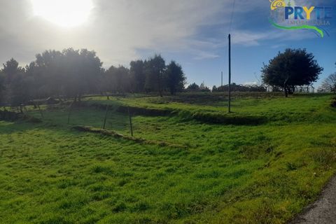 Helårsgrund i Serta, Castelo Branco, Serta - € 25.000 | Ref: SO14 - foto 3