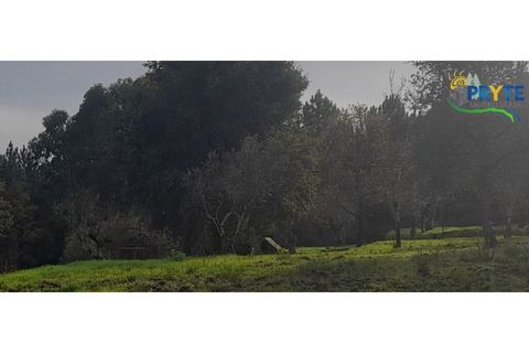 Helårsgrund i Serta, Castelo Branco, Serta - € 25.000 | Ref: SO14 - foto 4