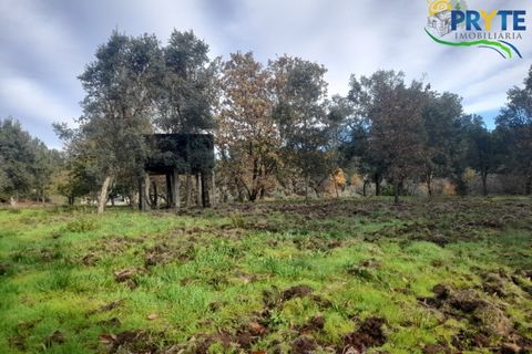 Helårsgrund i Serta, Castelo Branco, Serta - € 25.000 | Ref: SO14 - foto 5