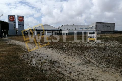 Terra a Mafra, Lisbon, Mafra - € 1.300/mes | Ref: 3924WM - foto 2