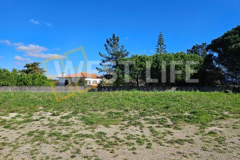 Terra a Mafra, Lisbon, Mafra - € 1.300/mes | Ref: 3924WM - foto 3