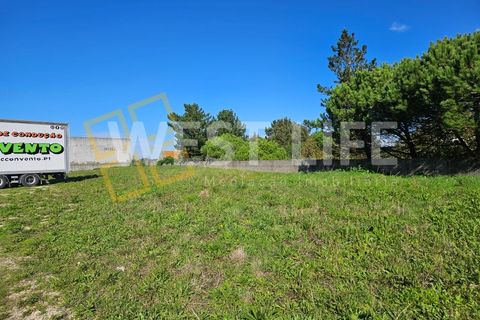 Terra a Mafra, Lisbon, Mafra - € 1.300/mes | Ref: 3924WM - foto 4