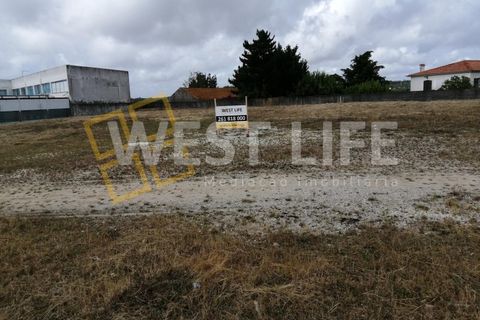 Terra a Mafra, Lisbon, Mafra - € 1.300/mes | Ref: 3924WM - foto 5