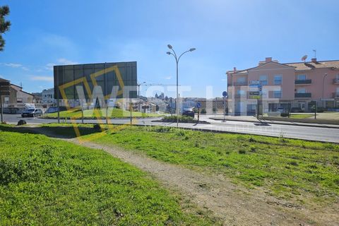 Terra a Mafra, Lisbon, Mafra - € 1.300/mes | Ref: 3924WM - foto 6