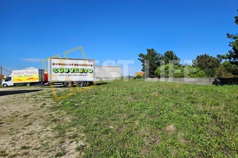 Terra a Mafra, Lisbon, Mafra - € 1.300/mes | Ref: 3924WM - foto 7