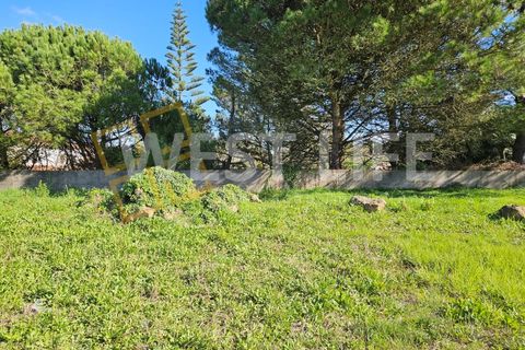 Terra a Mafra, Lisbon, Mafra - € 1.300/mes | Ref: 3924WM - foto 11