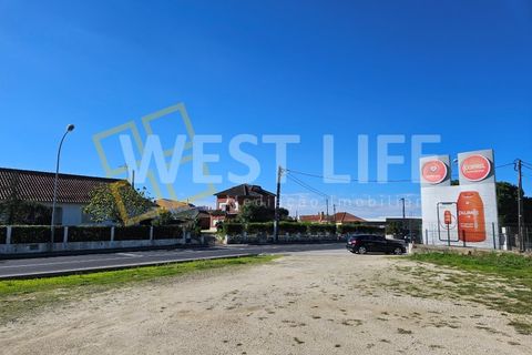 Terra a Mafra, Lisbon, Mafra - € 1.300/mes | Ref: 3924WM - foto 12