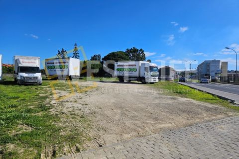 Terra a Mafra, Lisbon, Mafra - € 1.300/mes | Ref: 3924WM - foto 14