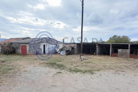 Helårsgrund i Fundao, Castelo Branco, Fundao - € 145.000 | Ref: 1116471 - foto 3