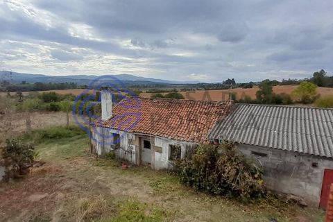 Helårsgrund i Fundao, Castelo Branco, Fundao - € 145.000 | Ref: 1116471 - foto 10