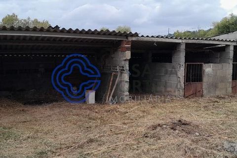 Helårsgrund i Fundao, Castelo Branco, Fundao - € 145.000 | Ref: 1116471 - foto 11