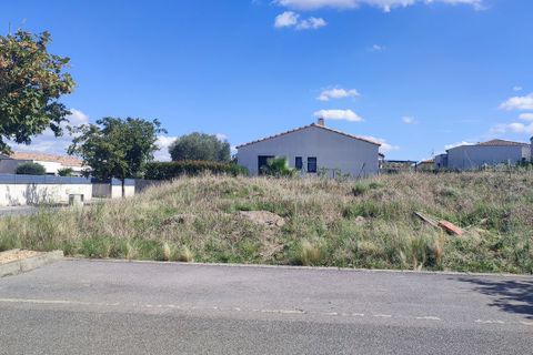 Terra a Palaja, Aude, Palaja - € 80.000 | Ref: 1043PI117 - foto 3