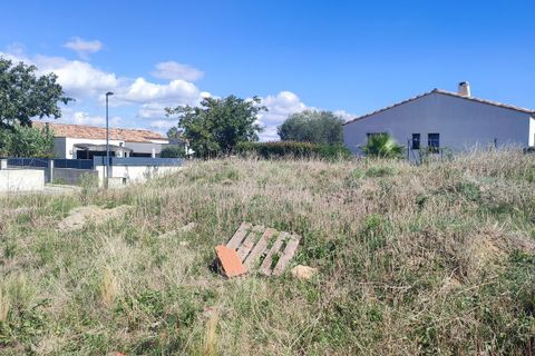 Terra a Palaja, Aude, Palaja - € 80.000 | Ref: 1043PI117 - foto 4