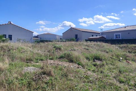 Terra a Palaja, Aude, Palaja - € 80.000 | Ref: 1043PI117 - foto 5