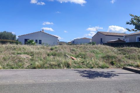 Terra a Palaja, Aude, Palaja - € 80.000 | Ref: 1043PI117 - foto 6