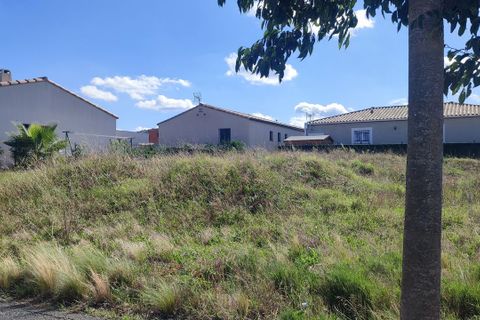 Terra a Palaja, Aude, Palaja - € 80.000 | Ref: 1043PI117 - foto 7