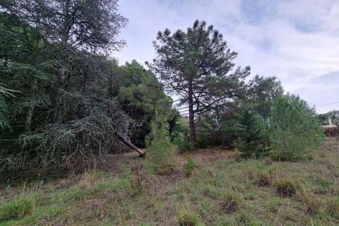 Helårsgrund i Agde, Herault, Agde - € 222.000 | Ref: 34-LAPINEDE_DIV2 - foto 2