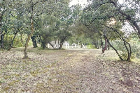 Terra a Monteux, Vaucluse, Monteux - € 95.000 | Ref: 33992513B951D052 - foto 6