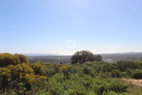 Villa i Cadiz, Cadiz, Cadiz - € 6.500.000 | Ref: 217711 - foto 12