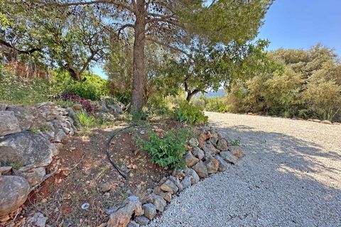 Villa i Jalon, Alicante, Jalon - € 540.000 | Ref: xjal4536 - foto 10
