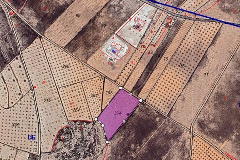 Terra a Abanilla, Murcia, Abanilla - € 22.995 | Ref: 45063-ML - foto 2