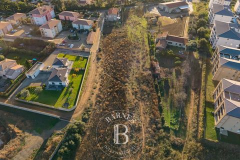 Terra a Vescovato, Haute-Corse, Vescovato - € 530.000 | Ref: RV2056 - foto 5