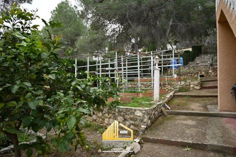 Villa em Montserrat, Valencia, Montserrat - € 399.900 | Ref: 5STR162025 - foto 13