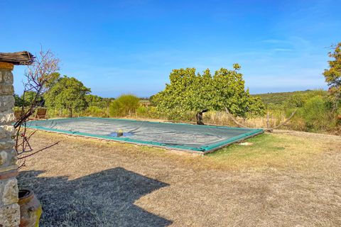 Villa i Bibbona, Livorno, Bibbona - € 1.000.000 | Ref: CS447 - foto 4
