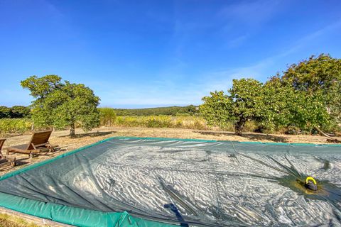 Villa i Bibbona, Livorno, Bibbona - € 1.000.000 | Ref: CS447 - foto 7