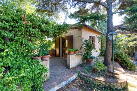 Villa i Bibbona, Livorno, Bibbona - € 1.000.000 | Ref: CS447 - foto 18