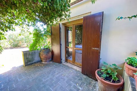 Villa i Bibbona, Livorno, Bibbona - € 1.000.000 | Ref: CS447 - foto 19