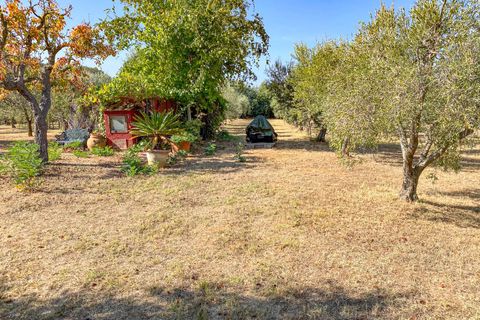 Villa i Bibbona, Livorno, Bibbona - € 1.000.000 | Ref: CS447 - foto 22
