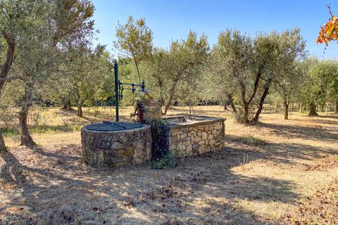 Villa i Bibbona, Livorno, Bibbona - € 1.000.000 | Ref: CS447 - foto 23