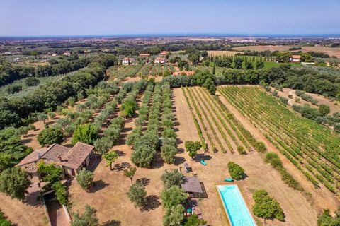 Villa i Bibbona, Livorno, Bibbona - € 1.000.000 | Ref: CS447 - foto 24